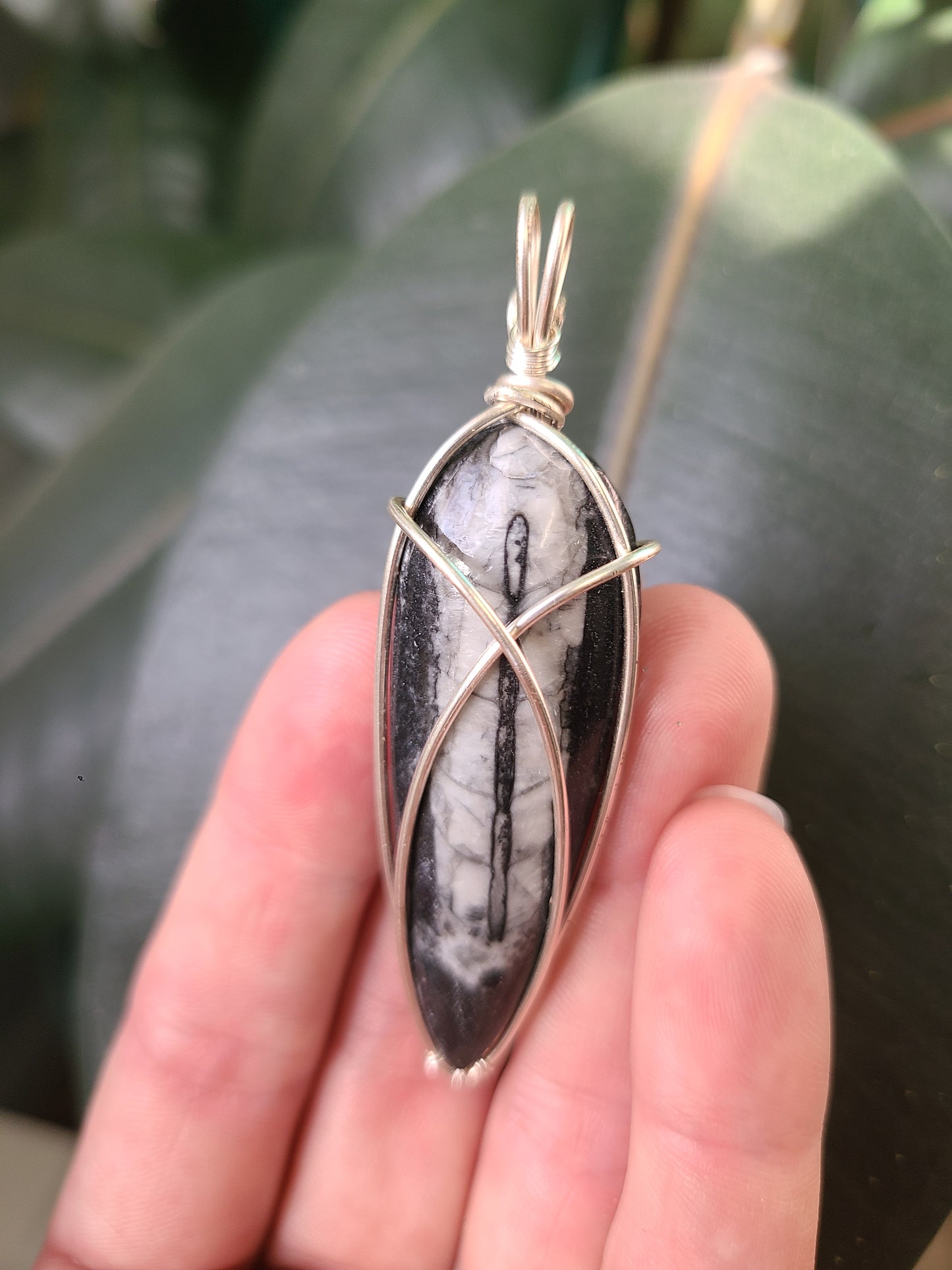 Wire Wrap Orthoceras Fossil Pendant