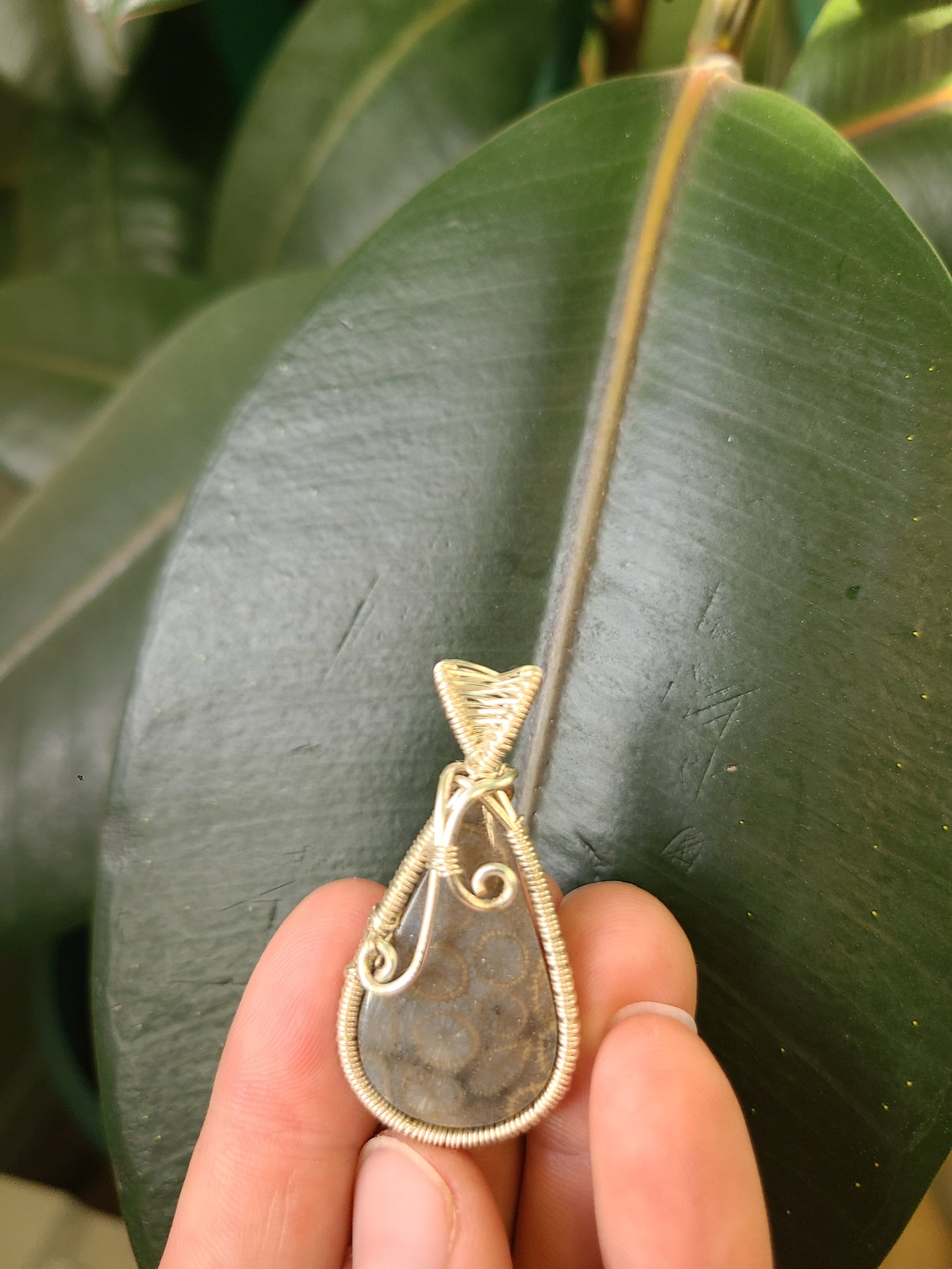 Wire Wrap Fossilized Coral Pendant