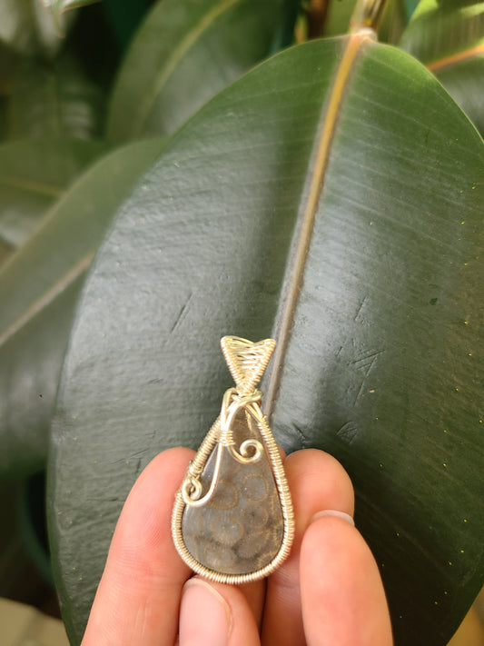 Wire Wrap Fossilized Coral Pendant